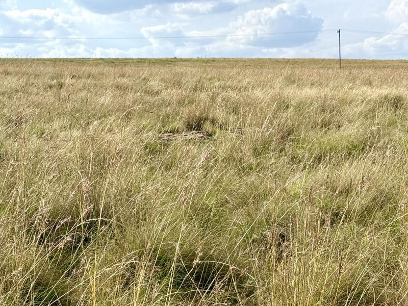 0 Bedroom Property for Sale in Harrismith Free State